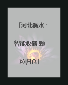 河北衡水：智能收储 颗粒归仓