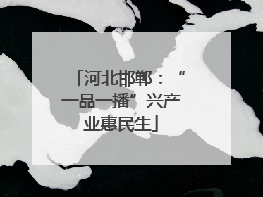 河北邯郸：“一品一播”兴产业惠民生