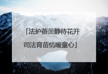 法护蓓蕾静待花开 司法育苗情暖童心