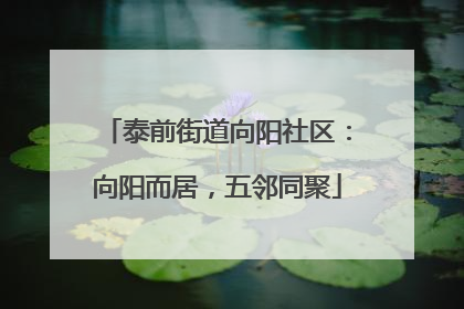 泰前街道向阳社区：向阳而居，五邻同聚