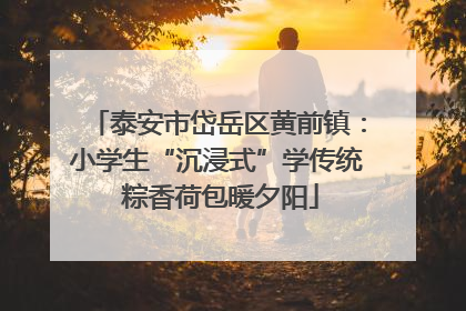 泰安市岱岳区黄前镇：小学生“沉浸式”学传统 粽香荷包暖夕阳