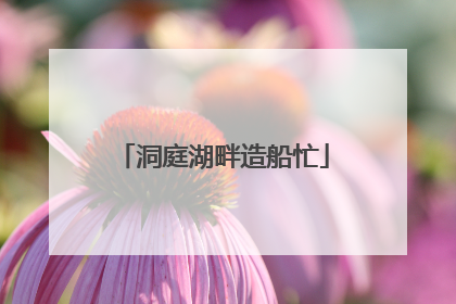 洞庭湖畔造船忙