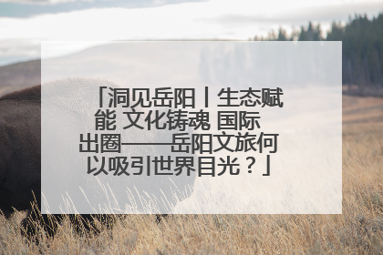 洞见岳阳丨生态赋能 文化铸魂 国际出圈——岳阳文旅何以吸引世界目光？