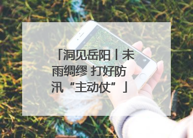 洞见岳阳丨未雨绸缪 打好防汛“主动仗”
