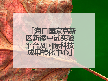 海口国家高新区新添中试实验平台及国际科技成果转化中心