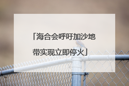 海合会呼吁加沙地带实现立即停火