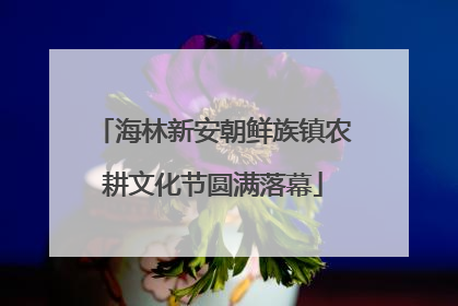 海林新安朝鲜族镇农耕文化节圆满落幕