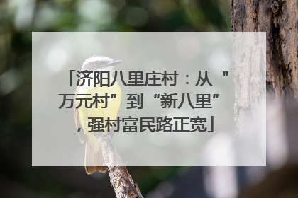 济阳八里庄村：从“万元村”到“新八里”，强村富民路正宽