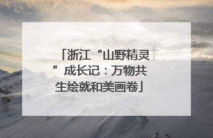 浙江“山野精灵”成长记：万物共生绘就和美画卷