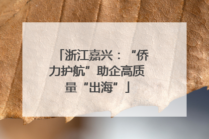浙江嘉兴：“侨力护航”助企高质量“出海”