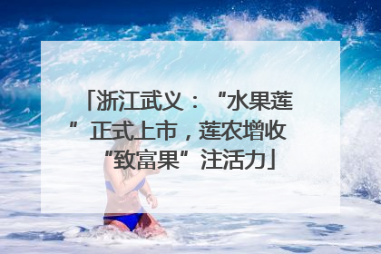 浙江武义：“水果莲”正式上市，莲农增收“致富果”注活力