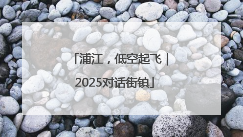 浦江，低空起飞｜2025对话街镇