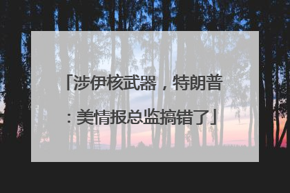 涉伊核武器，特朗普：美情报总监搞错了