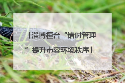 淄博桓台“错时管理”提升市容环境秩序