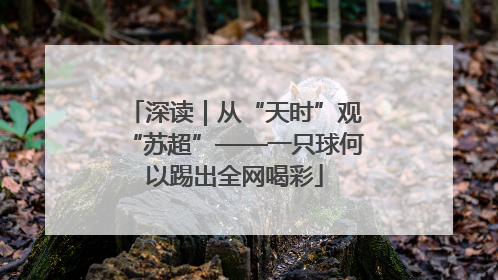深读｜从“天时”观“苏超”——一只球何以踢出全网喝彩