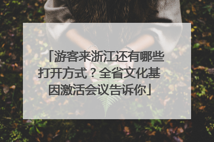 游客来浙江还有哪些打开方式？全省文化基因激活会议告诉你