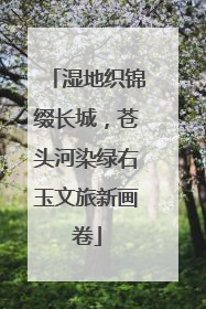 湿地织锦缀长城，苍头河染绿右玉文旅新画卷
