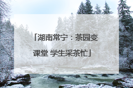 湖南常宁：茶园变课堂 学生采茶忙