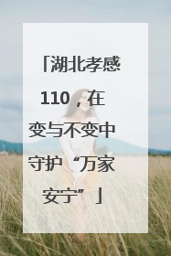 湖北孝感110，在变与不变中守护“万家安宁”