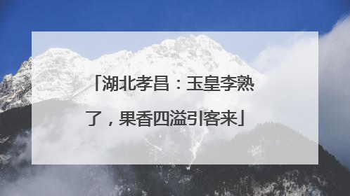湖北孝昌：玉皇李熟了，果香四溢引客来