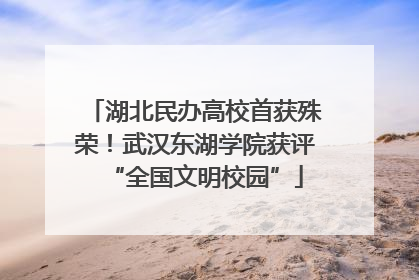 湖北民办高校首获殊荣！武汉东湖学院获评“全国文明校园”