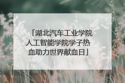 湖北汽车工业学院人工智能学院学子热血助力世界献血日