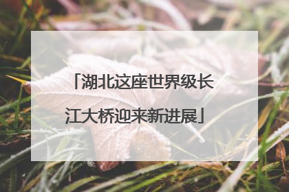 湖北这座世界级长江大桥迎来新进展