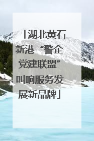 湖北黄石新港“警企党建联盟”叫响服务发展新品牌