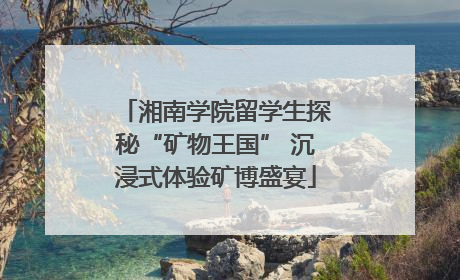 湘南学院留学生探秘“矿物王国” 沉浸式体验矿博盛宴