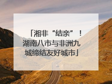 湘非“结亲”！湖南八市与非洲九城缔结友好城市