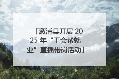 溆浦县开展 2025 年“工会帮就业”直播带岗活动