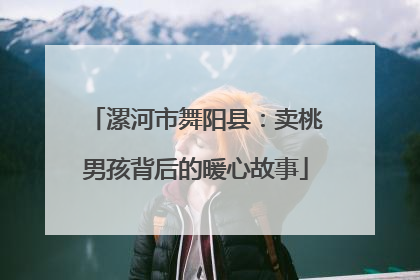 漯河市舞阳县：卖桃男孩背后的暖心故事