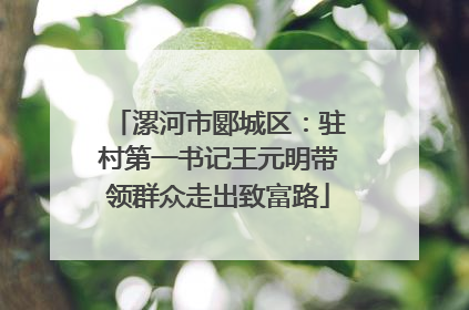 漯河市郾城区：驻村第一书记王元明带领群众走出致富路