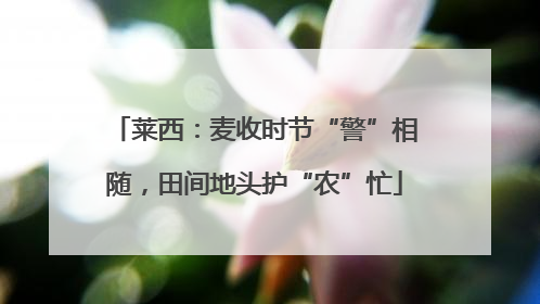 莱西：麦收时节“警”相随，田间地头护“农”忙