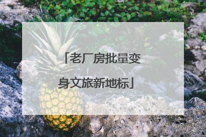 老厂房批量变身文旅新地标