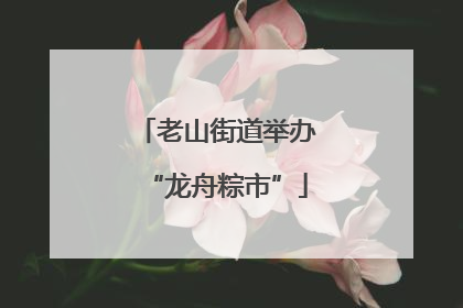 老山街道举办“龙舟粽市”