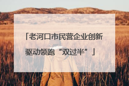 老河口市民营企业创新驱动领跑“双过半”