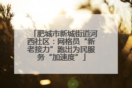 肥城市新城街道河西社区：网格员“新老接力”跑出为民服务“加速度”