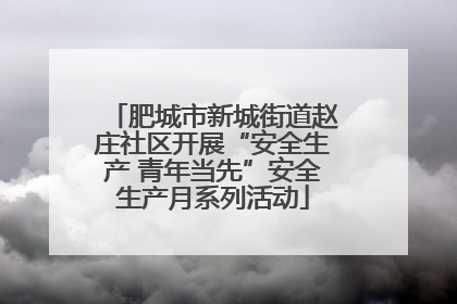 肥城市新城街道赵庄社区开展“安全生产 青年当先”安全生产月系列活动