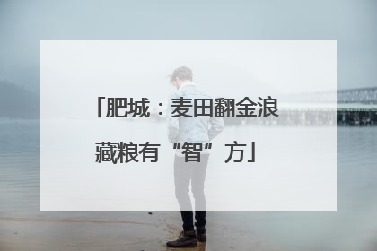 肥城：麦田翻金浪藏粮有“智”方