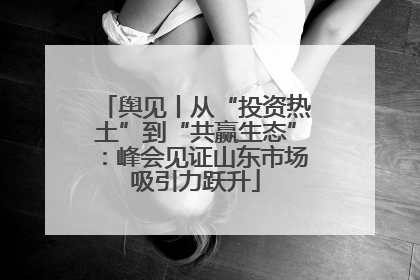 舆见丨从“投资热土”到“共赢生态”：峰会见证山东市场吸引力跃升