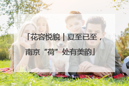 花容悦貌｜夏至已至，南京“荷”处有美韵