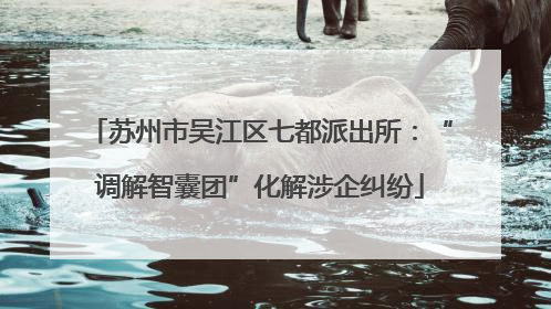 苏州市吴江区七都派出所：“调解智囊团”化解涉企纠纷