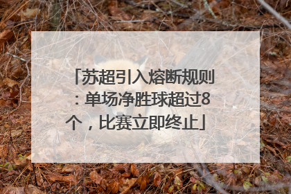 苏超引入熔断规则：单场净胜球超过8个，比赛立即终止