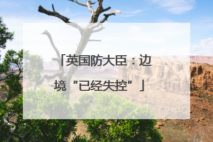 英国防大臣：边境“已经失控”