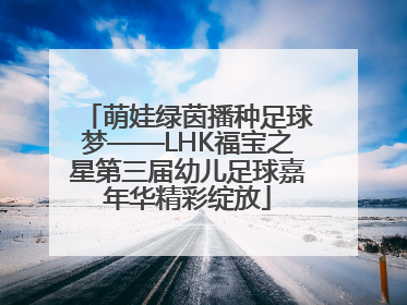 萌娃绿茵播种足球梦——LHK福宝之星第三届幼儿足球嘉年华精彩绽放