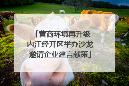 营商环境再升级 内江经开区举办沙龙邀请企业建言献策
