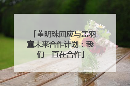 董明珠回应与孟羽童未来合作计划：我们一直在合作
