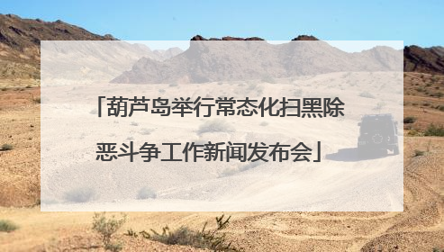 葫芦岛举行常态化扫黑除恶斗争工作新闻发布会
