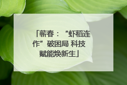 蕲春：“虾稻连作”破困局 科技赋能焕新生